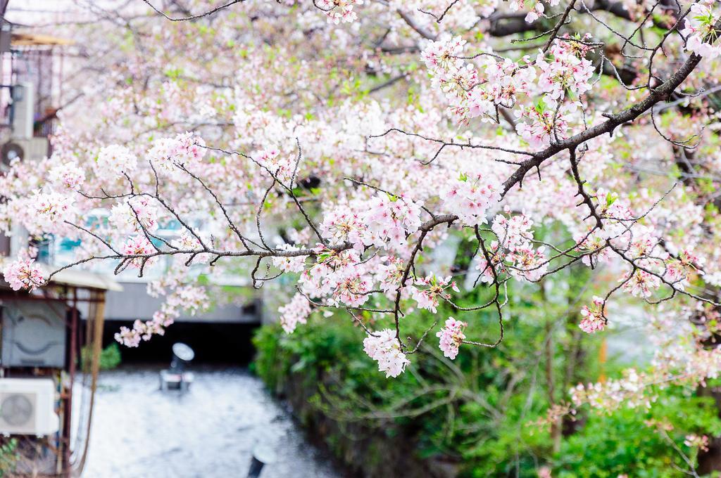 Kumomachiya Takasegawa Villa Kyoto Luaran gambar