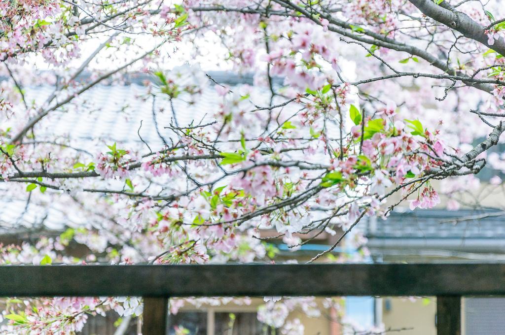 Kumomachiya Takasegawa Villa Kyoto Luaran gambar